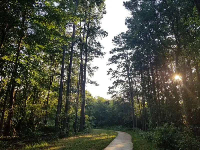 Trails That Keep Going for Miles