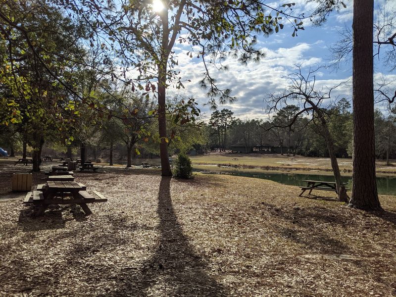 Plan A Lazy Picnic Day And Find The Gate Easily