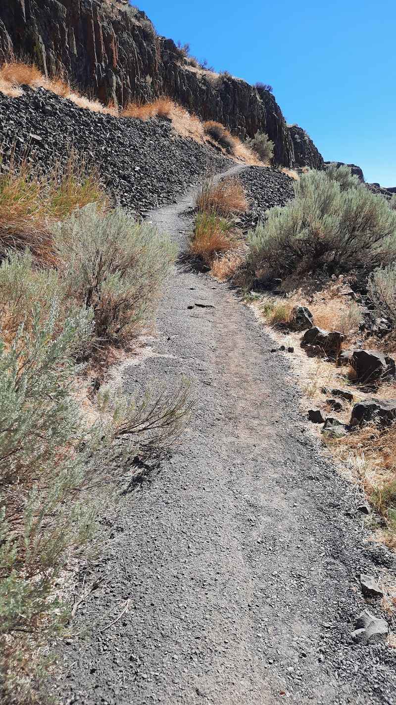 Sturdy Shoes And Snake Smarts For The Rocky Path