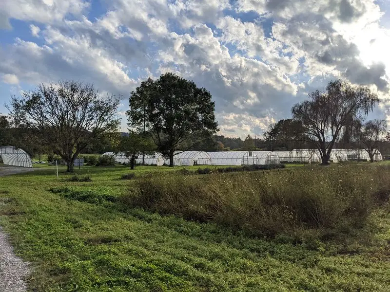 Trails, Sunsets, And Green Commitments