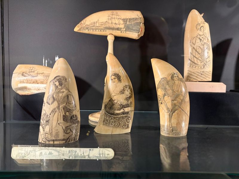 Tiny Carvings Steal The Show In The Scrimshaw Galleries
