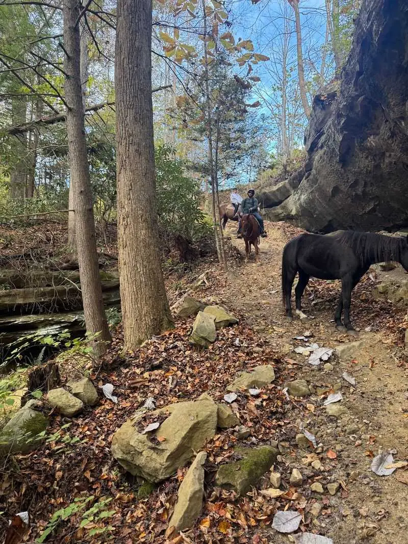 Gentle Horses, Not-So-Flat Trails