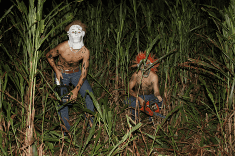 Newberry Cornfield Maze