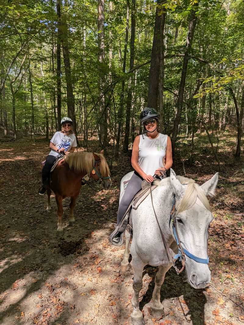 Saddle Up Even If You Have Never Ridden Before