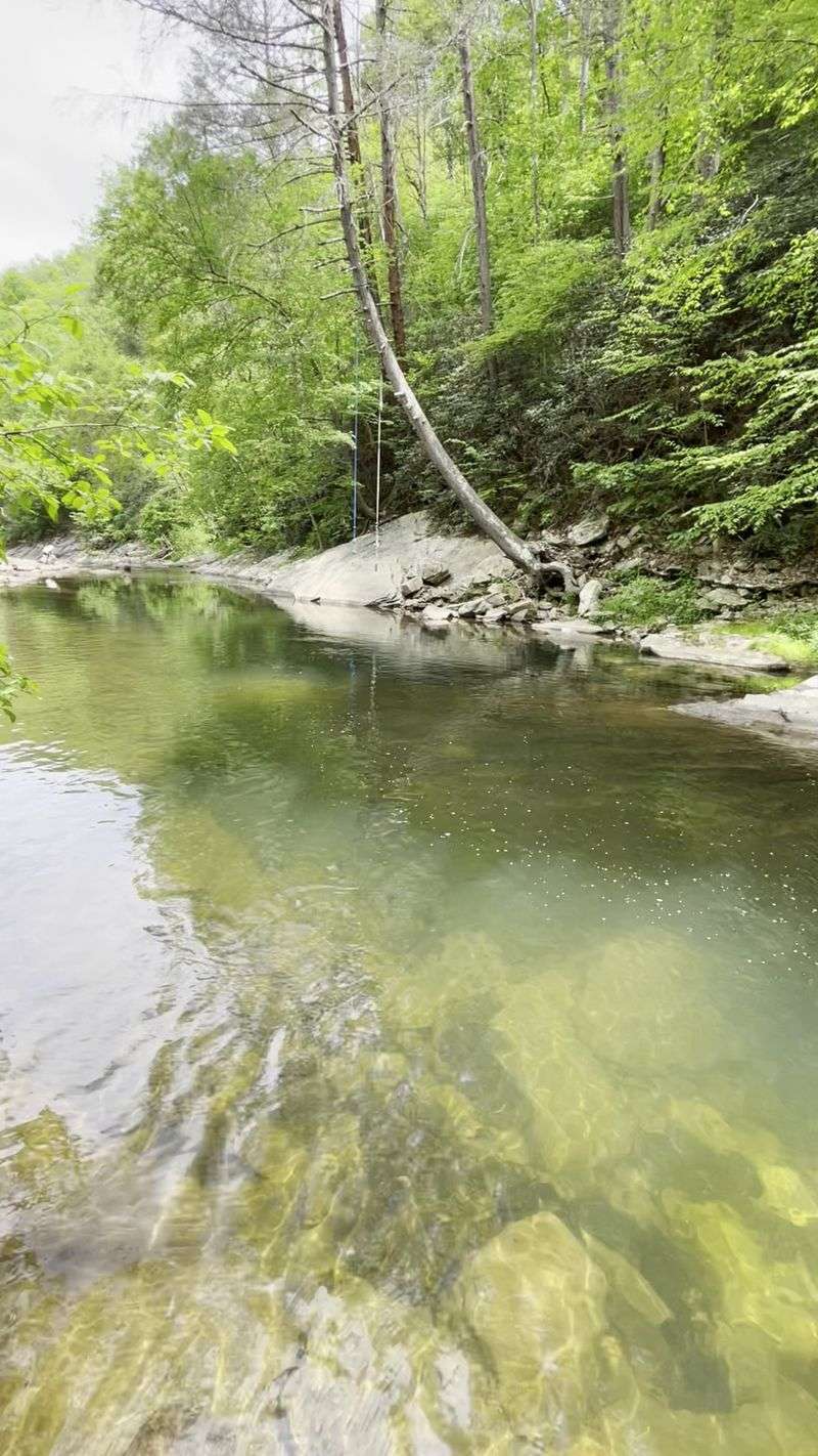 Trout Are Waiting In Passage Creek If You Pack A Rod