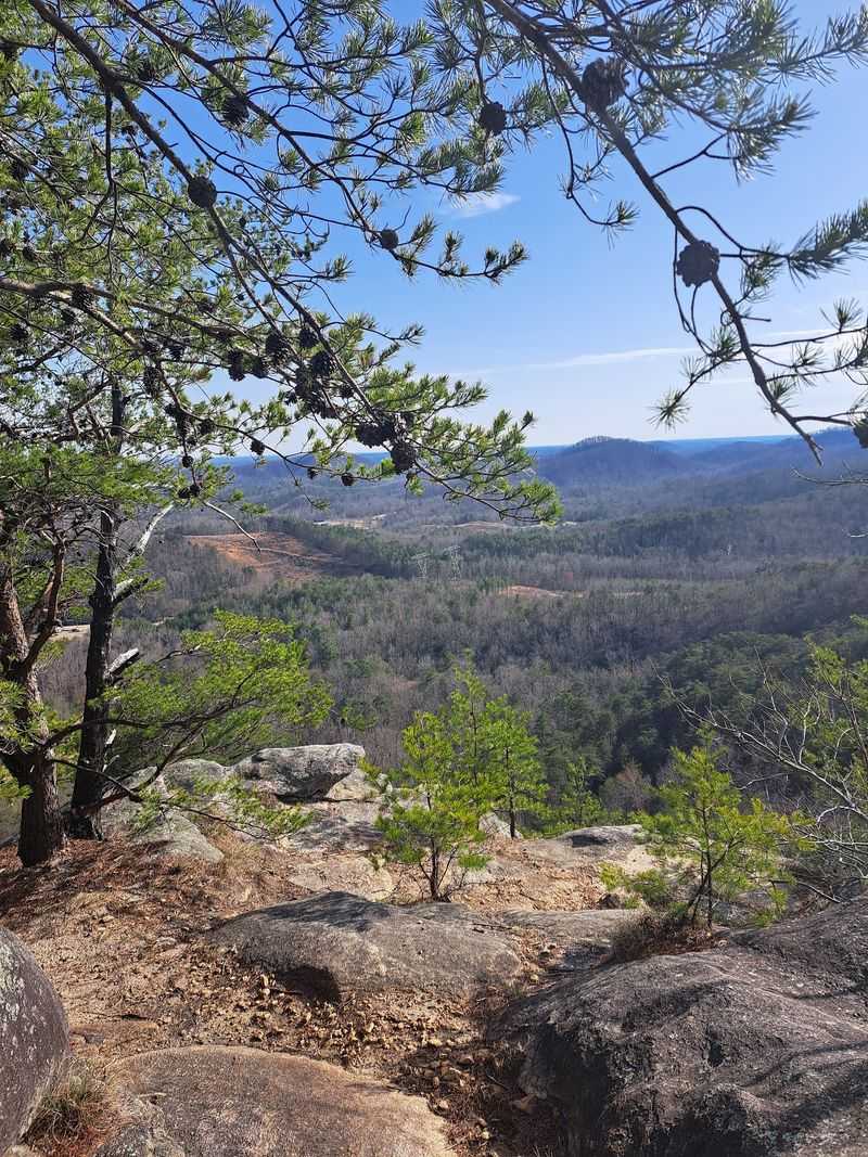 Find Some Quiet at Nine Times Preserve