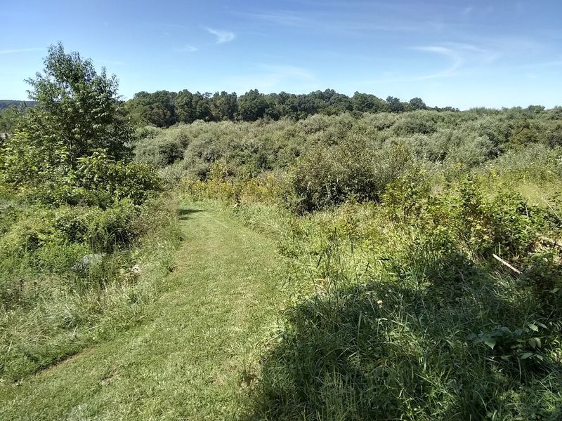 Banshee Reeks Nature Preserve