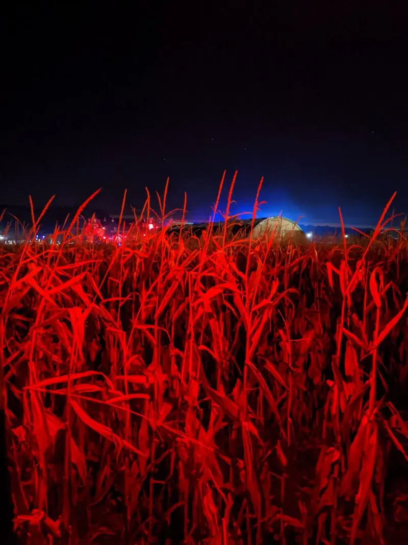 Fright Farm