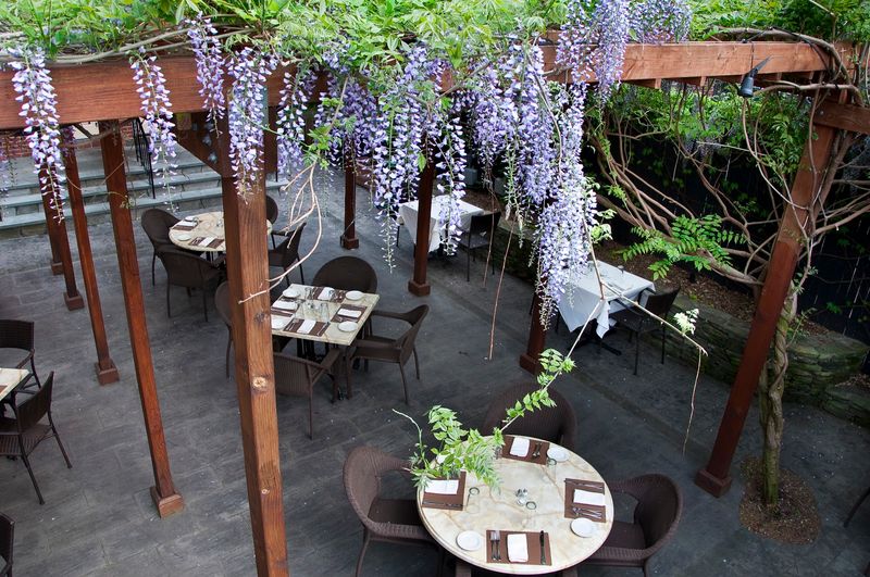 You'll Want A Table Under That Wisteria Arbor