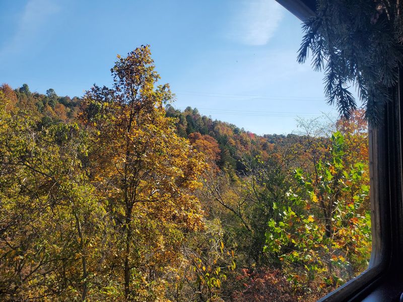 Fall Leaves And Bald Eagles Steal The Show