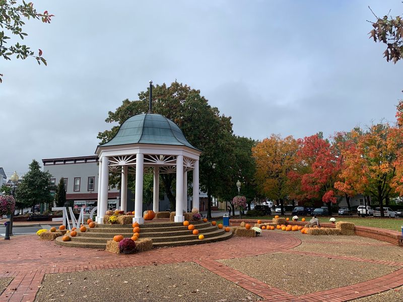 See the Fall Colors Around Front Royal