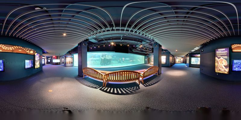 North Carolina Aquarium at Pine Knoll Shores
