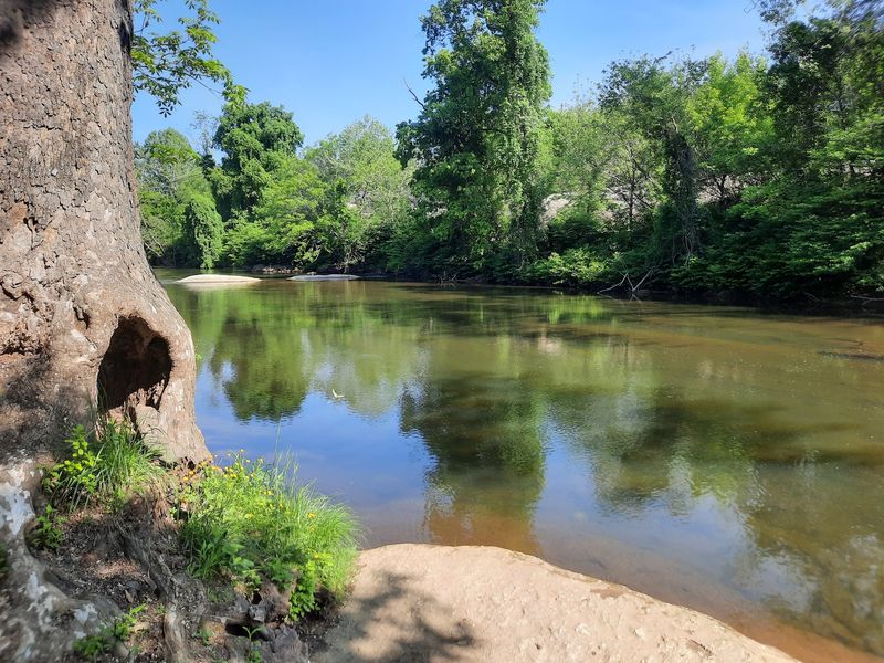 Free Fun Hangs Out At Riverside Park And Beyond