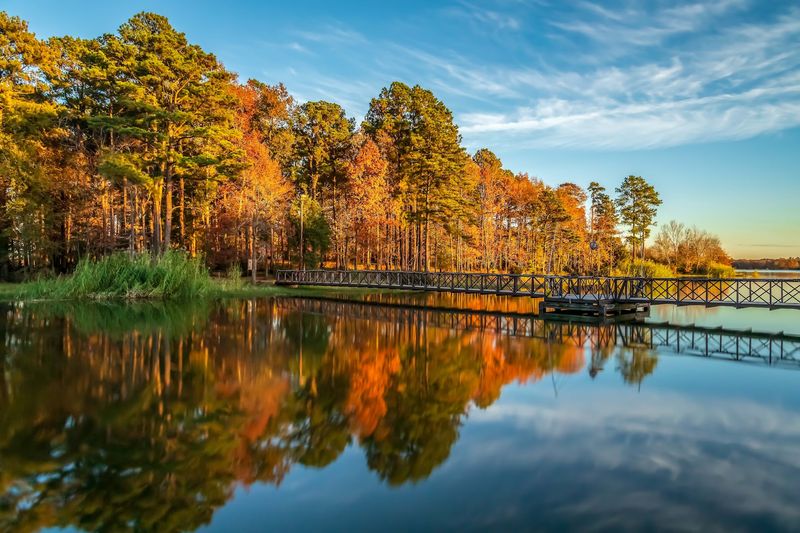 Pinewoods Surprises at Martin Creek Lake State Park