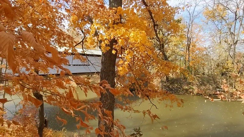 Fall Color And Quiet Afternoons Suit This Spot Best