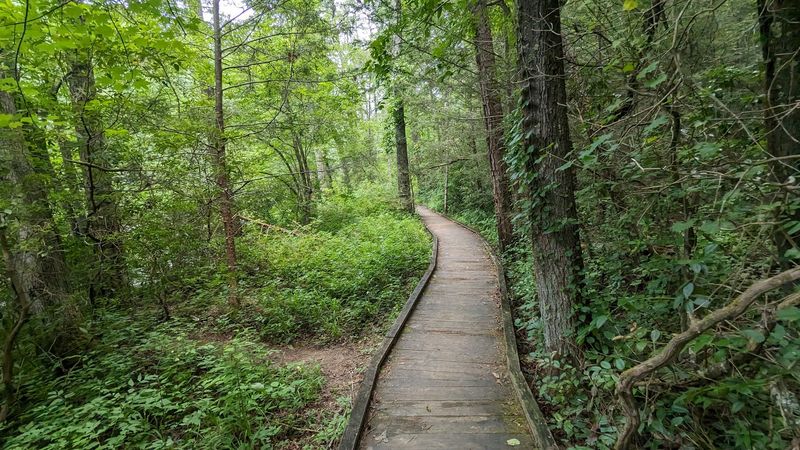 "Edge of the World" Trail