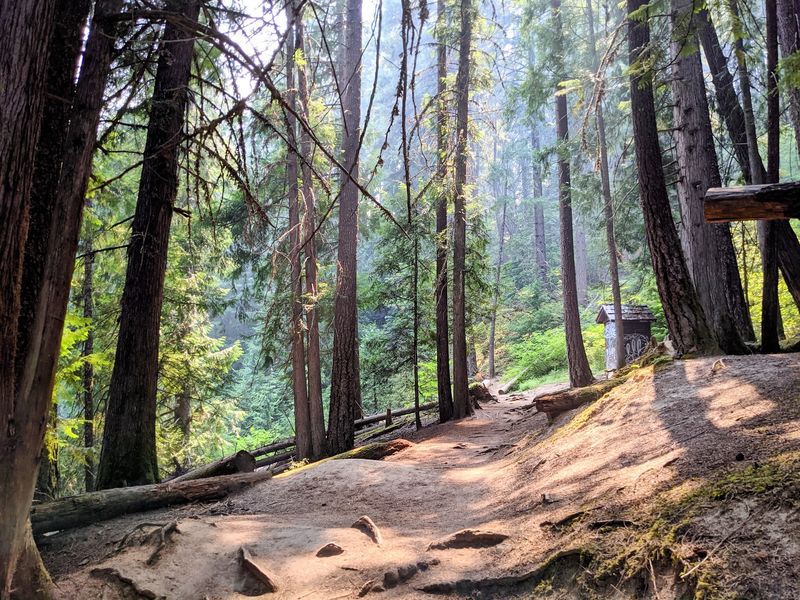 Finding The Trailhead Off Forest Road 3401