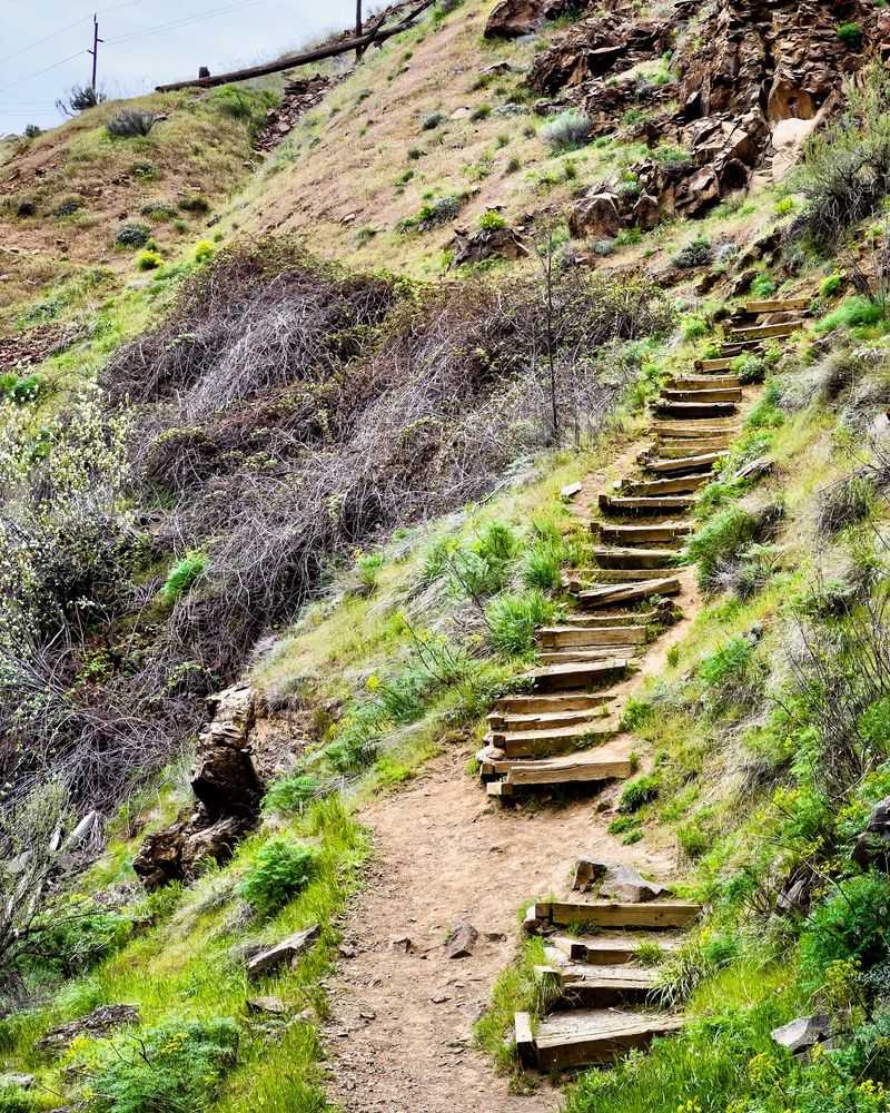 That Steep Trail Down Demands Respect And Good Shoes