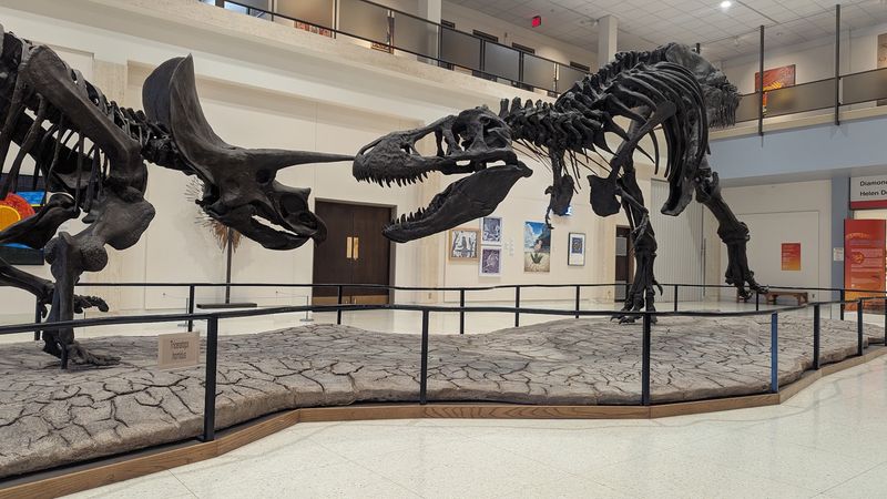 Museum at Texas Tech University