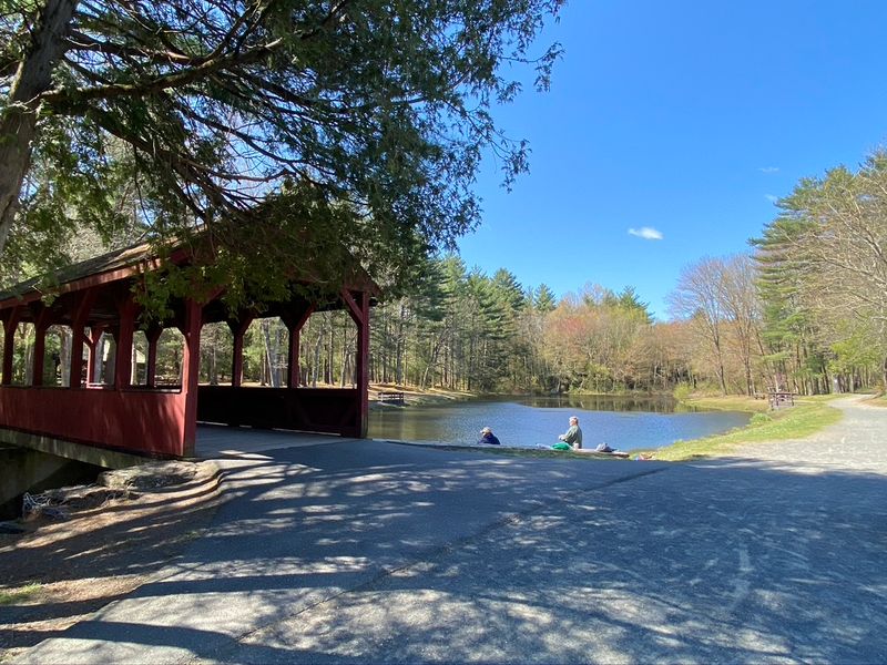Bring Light Tackle for Wary Trout