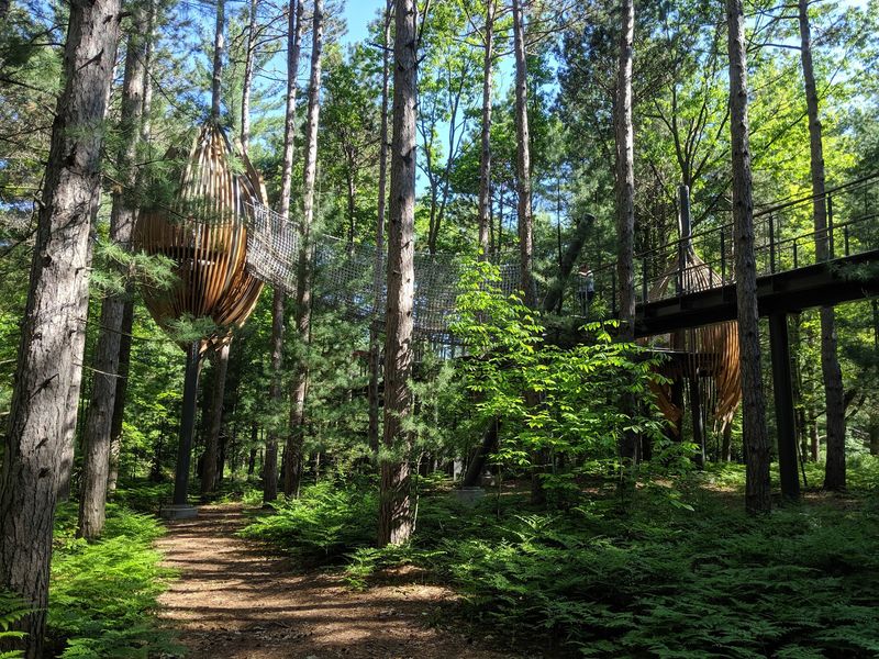 Watch the Treetops Change With the Seasons