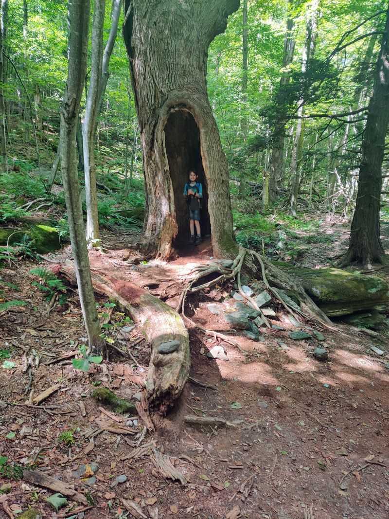 Pick a Trail That Fits Your Day