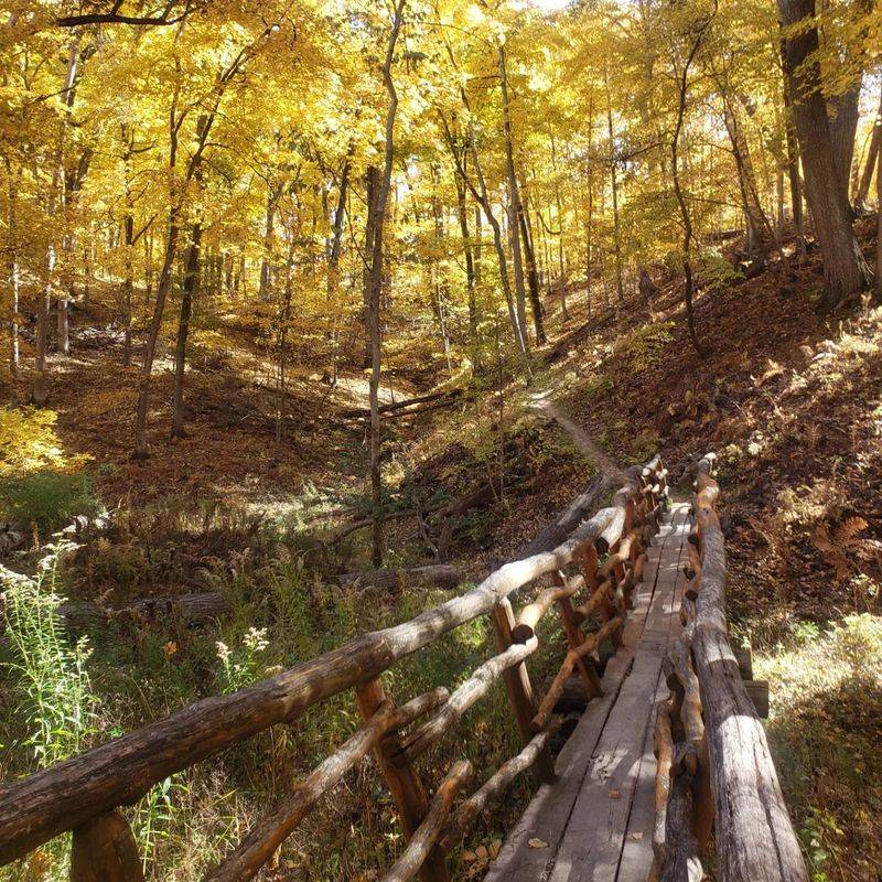 Lace Up For Trails That Twist Through Ravines And Ridges