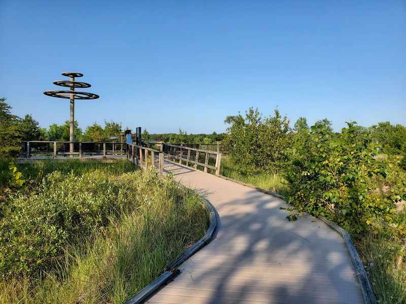 Birders, Pack Your Binoculars Along With The Sunscreen