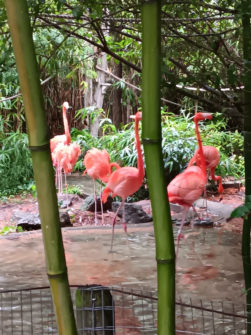 Small Zoo, Big Heart, And A Reason To Plan Your Next Weekend