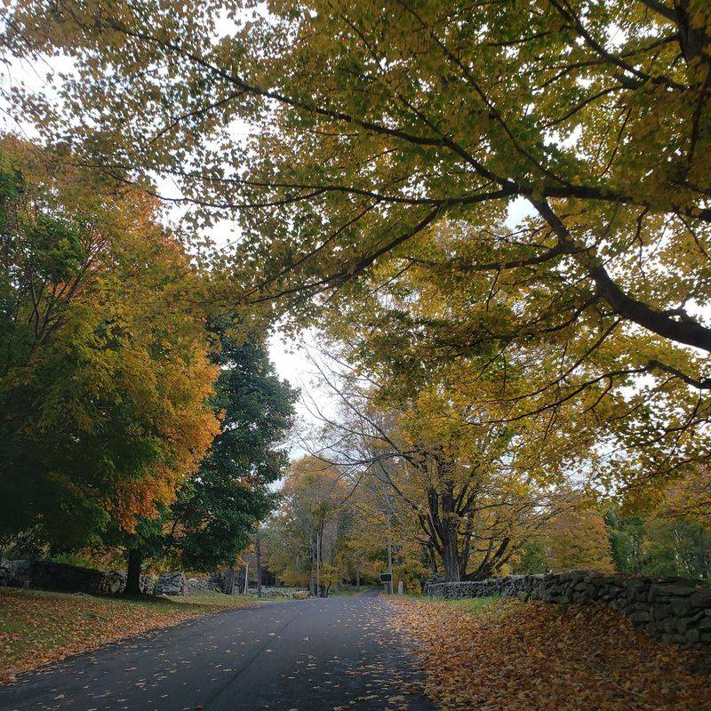 Discover Kent's Local Trails and Preserves