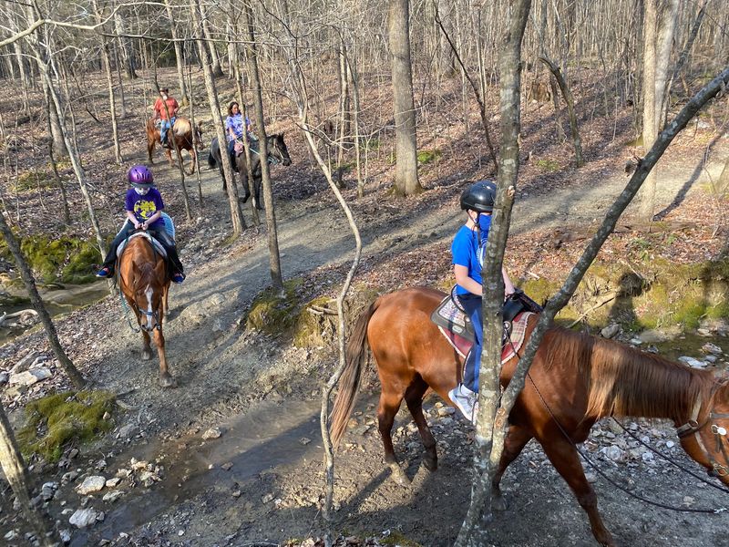 Cross Creeks and Follow the Rolling Hills