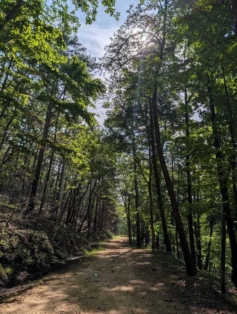 Choose a Trail That Matches Your Hiking Style