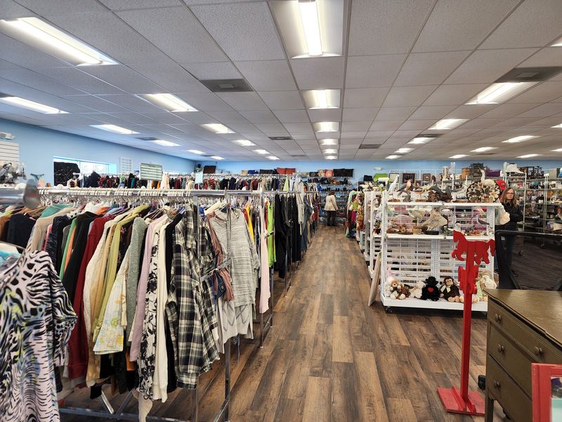 Racks And Shelves Packed With Surprises
