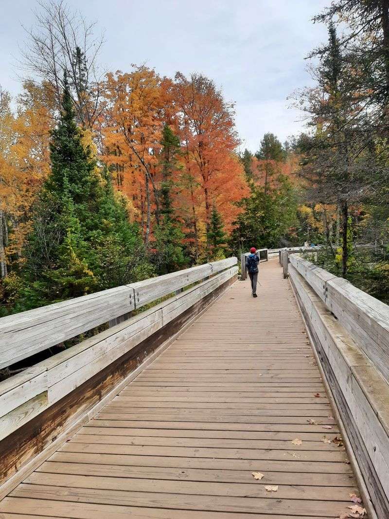 The Boardwalk Brings the Drama Within Reach