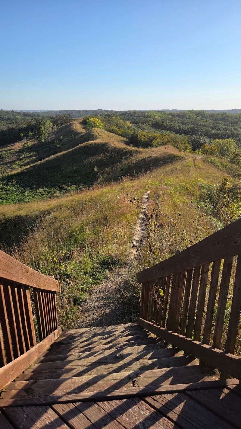 The Ridge Trail Starts Right Where the View Ends