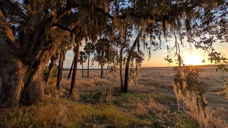 Myakka River State Park - Sarasota