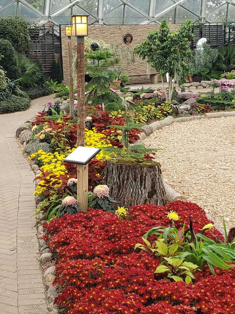 Plant Labels Turn Wandering Into Discovery