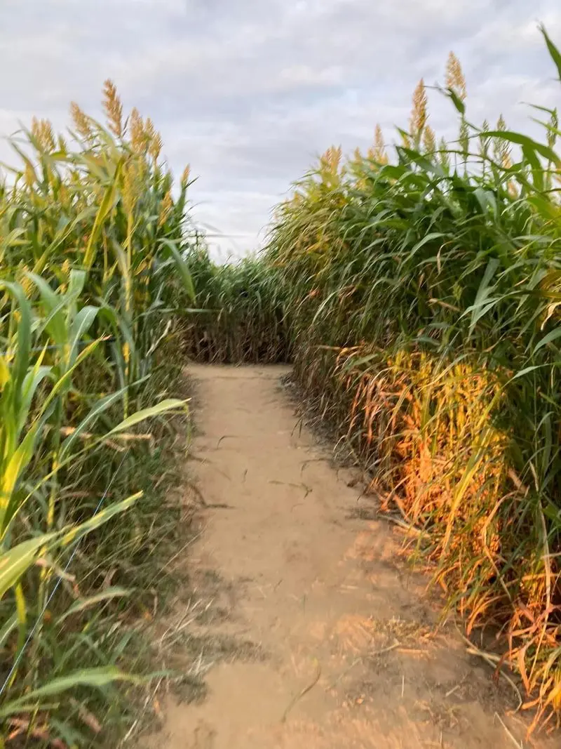 Denton Valley Farms: A Country Playground Near Clyde