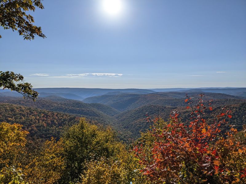 Maryland's Big Backyard Lives Up In the Western Mountains