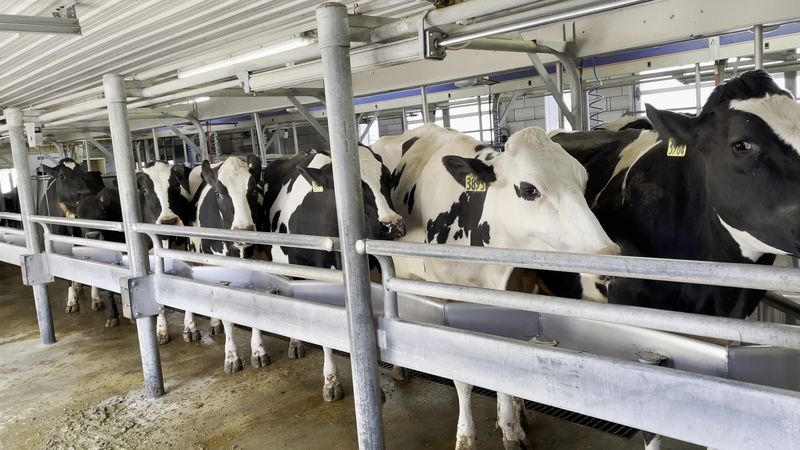 Fresh Milk Can Show Up On Your Porch, Too