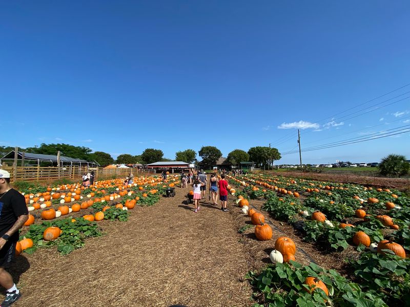 Bedner's Farm Fresh Market