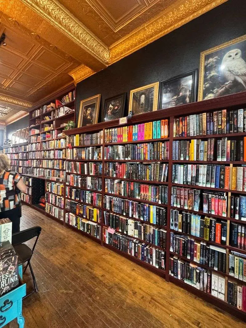 Shelves Packed With Used Books Waiting for Their Next Reader