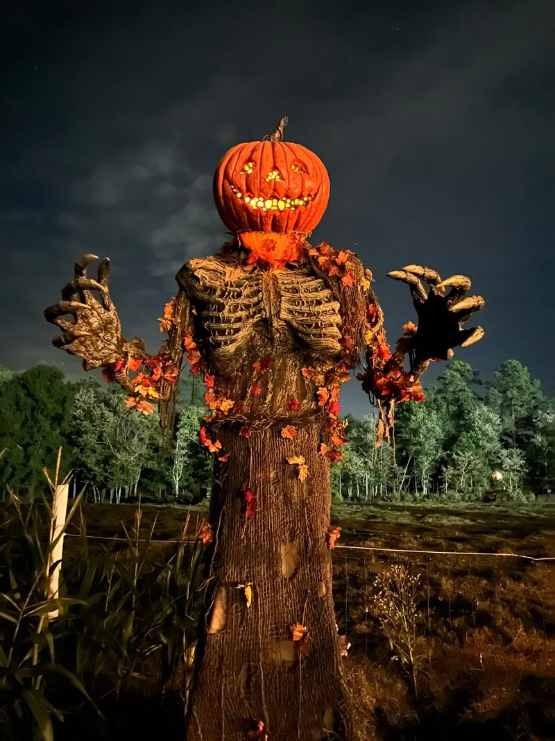 RED VEIN Haunt