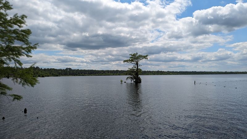 A Lake That Lives On Rainwater Alone