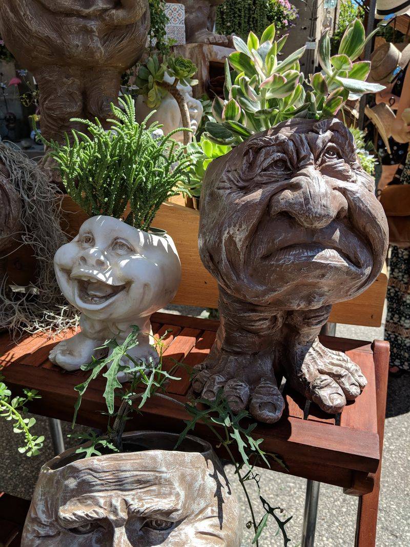 Snow, Sleet, Or Sunshine, The Show Goes On