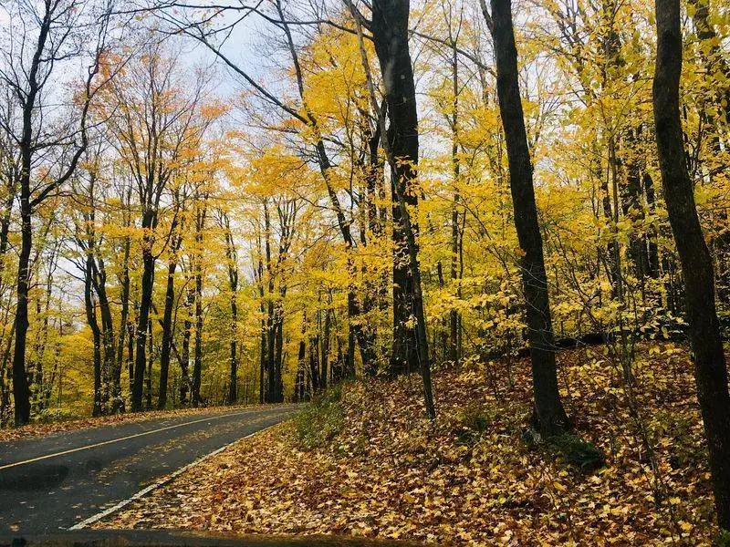 Read the Wetland Landscape at October Mountain