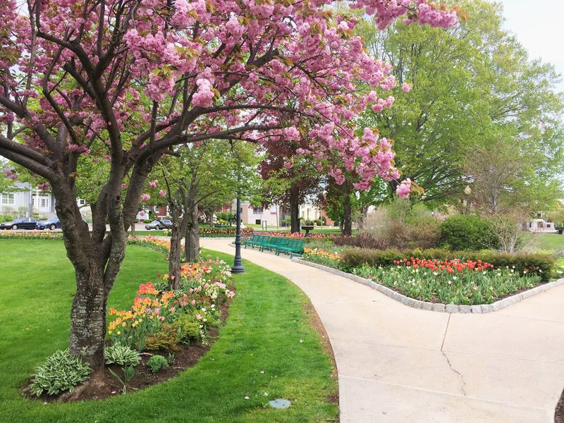 Take a Quiet Break at Coe Memorial Park