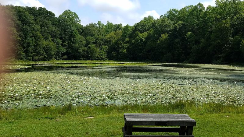 Make Room for a Waterside Pause