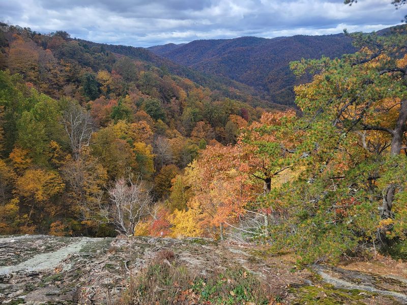 Climb Beside the Cascades at Crabtree Falls