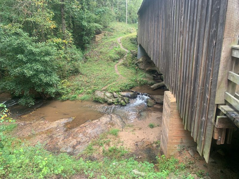Rose Creek Below